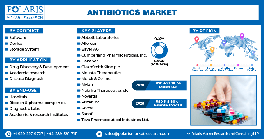 Antibiotics Market Infographics